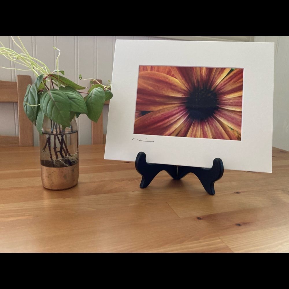 New Original Signed Photography